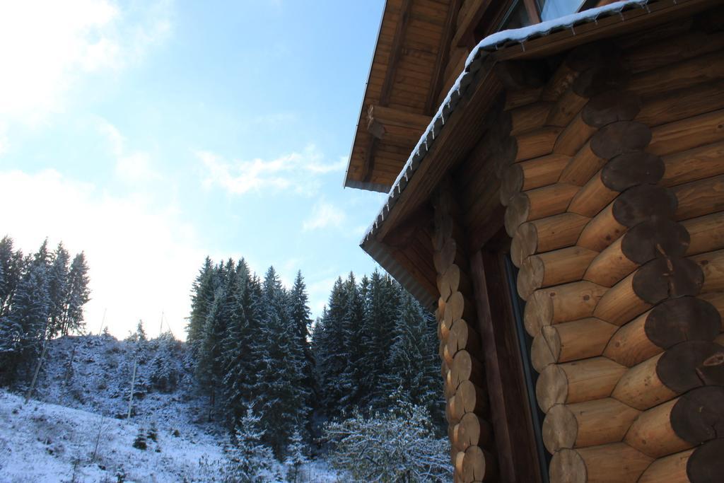 Sadyba Kazkove Dzherelo Verkhovijna Rom bilde